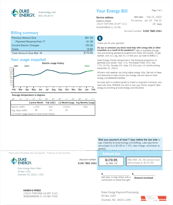 USA DUKE ENERGY utility bill Word and PDF template, version 2